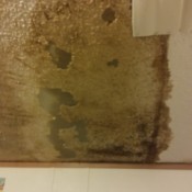 Home Repair Assistance for Low Income Veterans - water damage