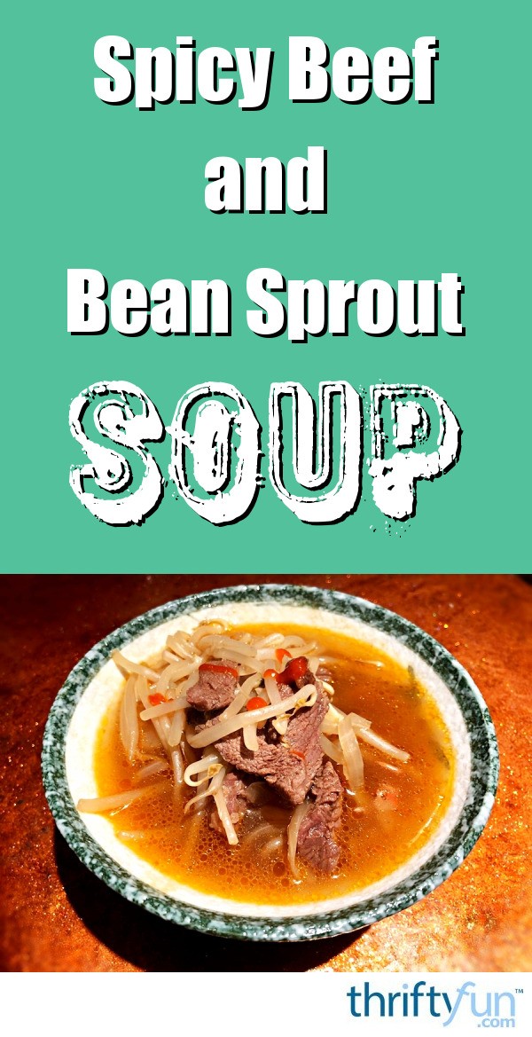 Spicy Beef and Bean Sprout Soup | ThriftyFun