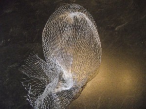 A mesh bag that used to hold garlic cloves.