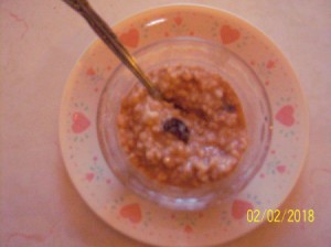 Healthy Oatmeal Pudding in bowl