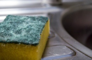 Kitchen Sponge/Scouring Pad Near a Sink
