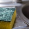 Kitchen Sponge/Scouring Pad Near a Sink