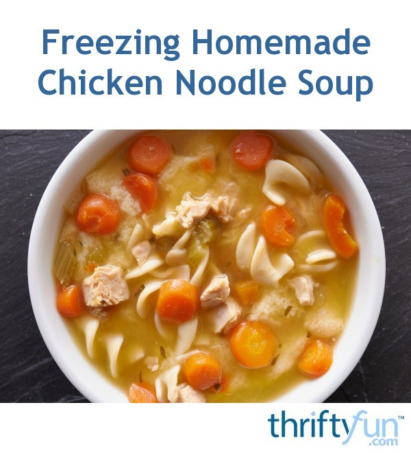 Freezing Homemade Chicken Noodle Soup? ThriftyFun