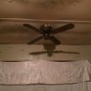 Cause of Mold Growth in a Mobile Home - mold on the ceiling