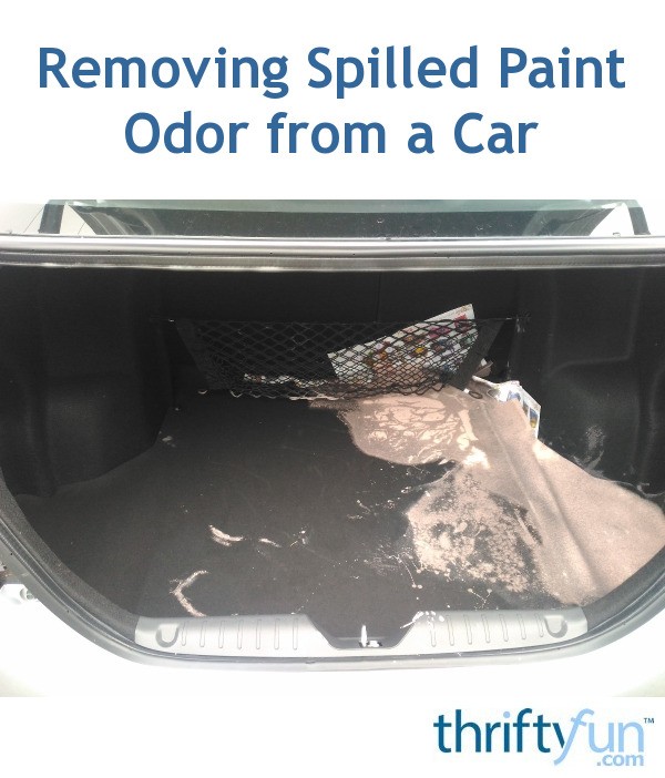 Removing Spilled Paint Odor from a Car? ThriftyFun