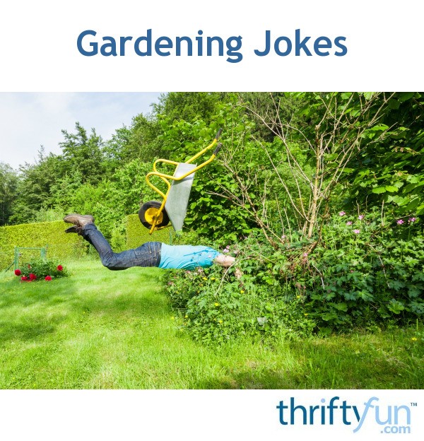 Gardening Jokes ThriftyFun