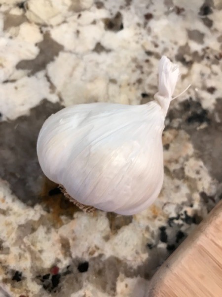 garlic bulb