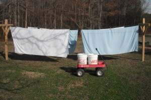 Using buckets and a red wagon to transport wet clothing to the clothesline.