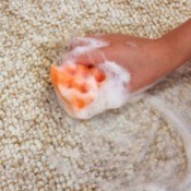 A soapy sponge scrubbing a carpet.