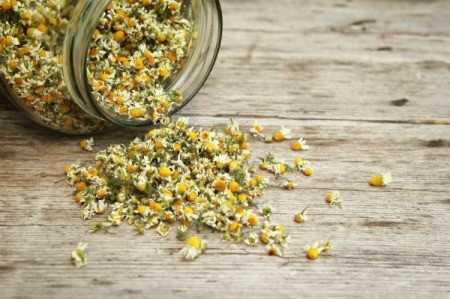 Dried Chamomile