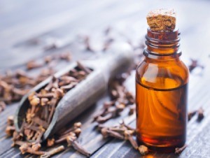 Cloves and Clove Oil