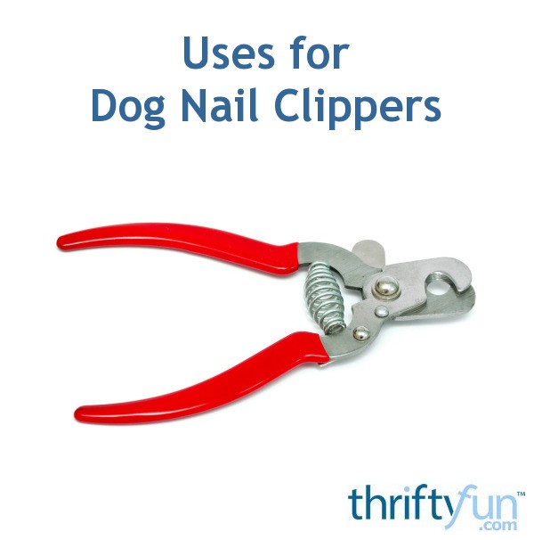 Uses for Dog Nail Clippers ThriftyFun