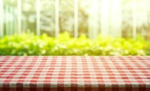 Red and white gingham tablecloth with greenery in the background.