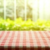 Red and white gingham tablecloth with greenery in the background.