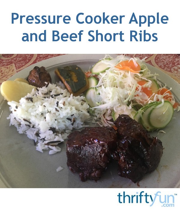 Pressure Cooker Apple and Beef Short Ribs ThriftyFun