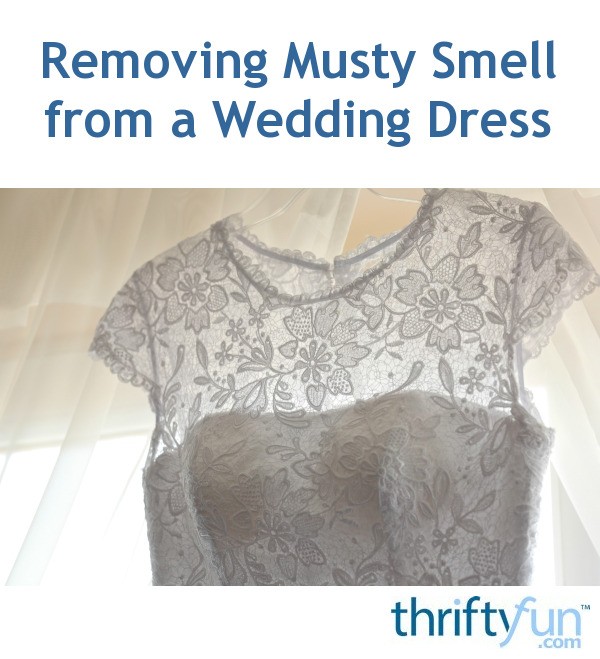 Removing Musty Smell from a Wedding Dress? ThriftyFun