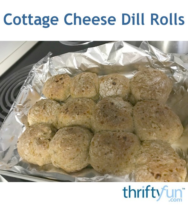Cottage Cheese Dill Rolls ThriftyFun