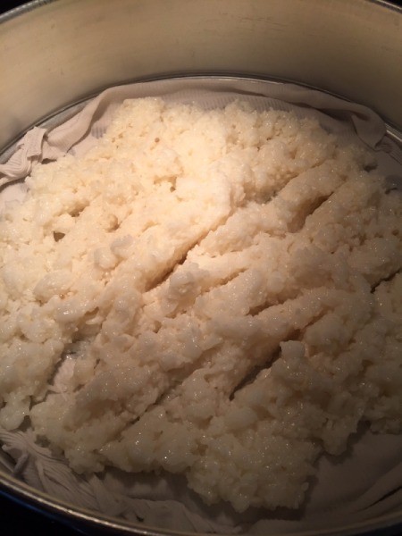 Sticky Rice and Mung Bean