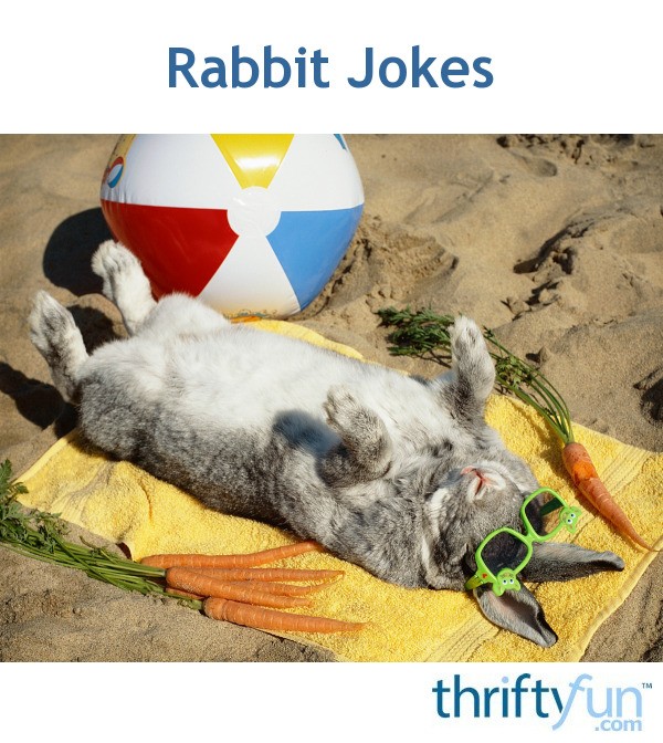 Rabbit Jokes ThriftyFun