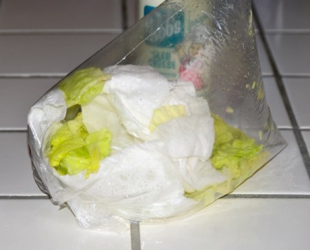 A bag of wet lettuce with paper towels inside.