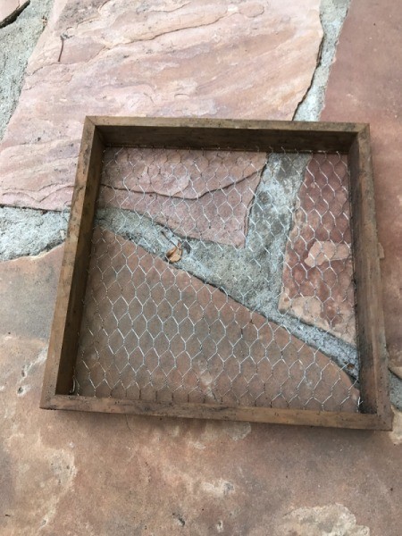 Succulent Planter and DIY Wood Stain - use as many coats as needed to reach desired color