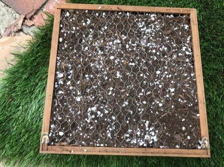 Succulent Planter and DIY Wood Stain - add soil