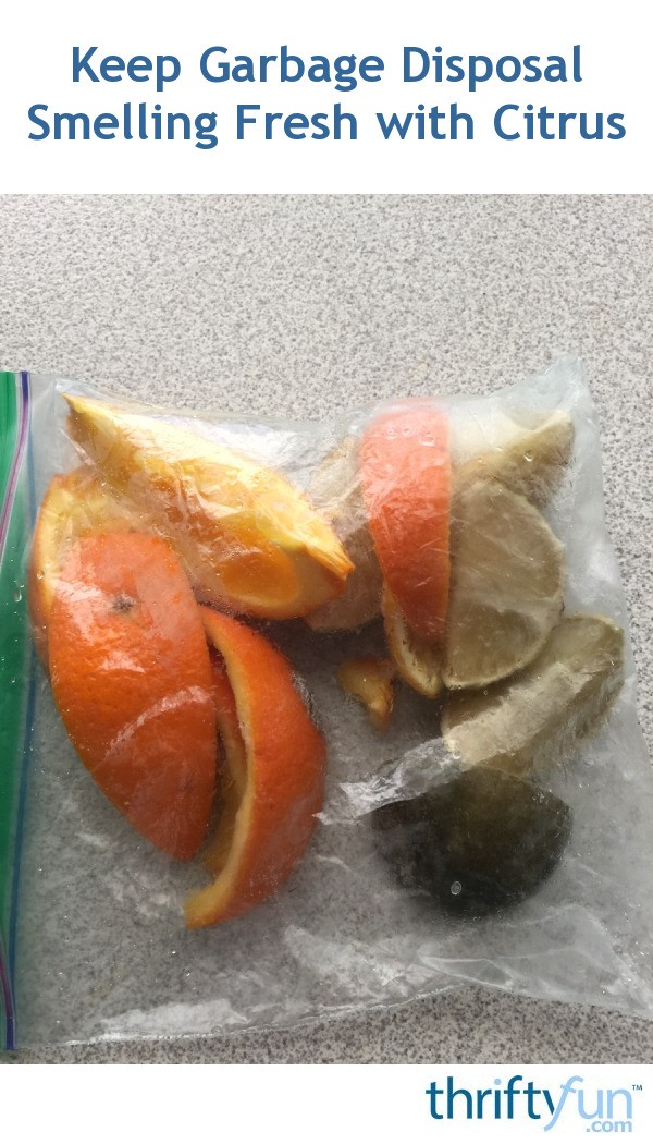 Keep Garbage Disposal Smelling Fresh with Citrus ThriftyFun