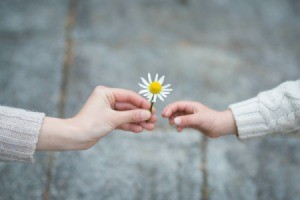 Adult handing a small flower to a child.