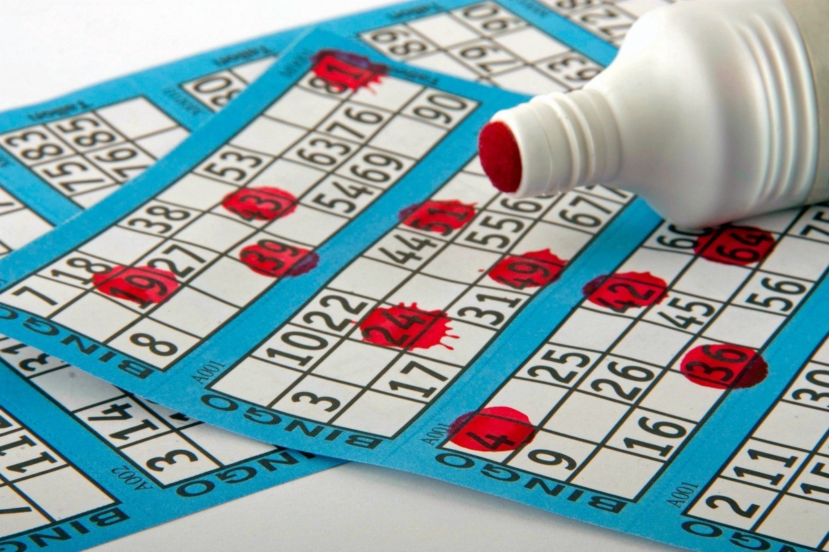 how to set up a bingo card