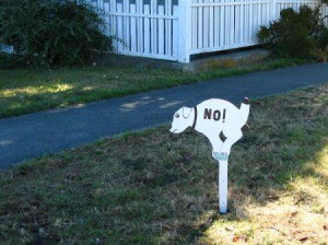 Yard sign of a dog pooping with "No!" painted on it.