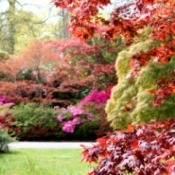 Autumn Garden full of color.