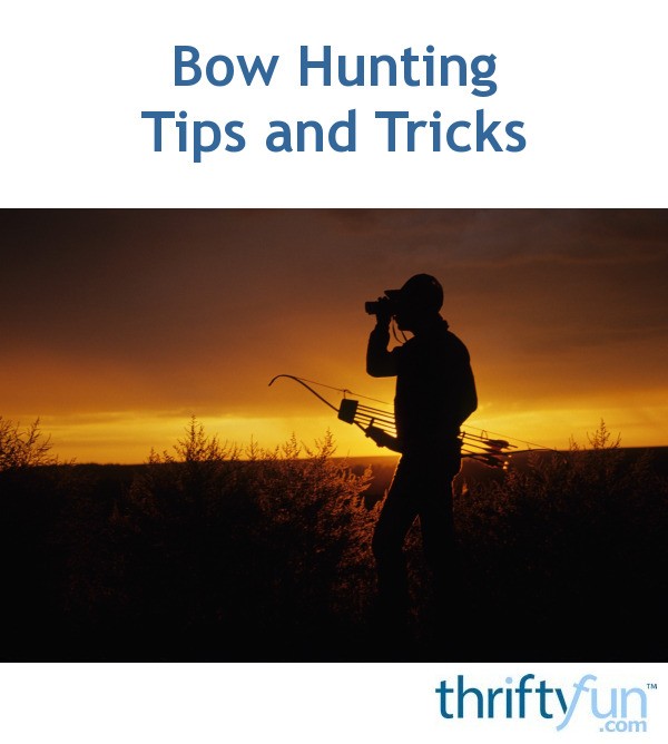 bow-hunting-tips-and-tricks-thriftyfun