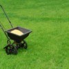 Lawn fertilizer in spreader on grass