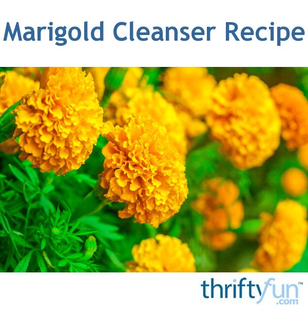 Marigold Cleanser Recipe ThriftyFun