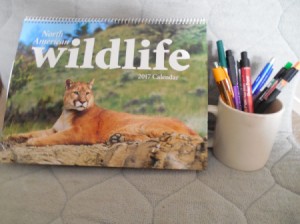 Some free items from businesses; a calendar, pens and a coffee mug.