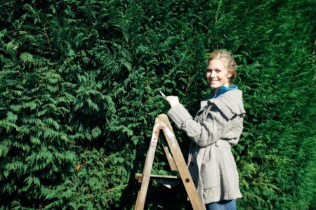 Woman on a ladder next to a shrubbery.