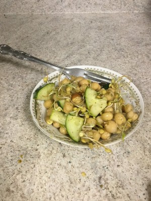 Chickpea Sprout and Cucumber Salad