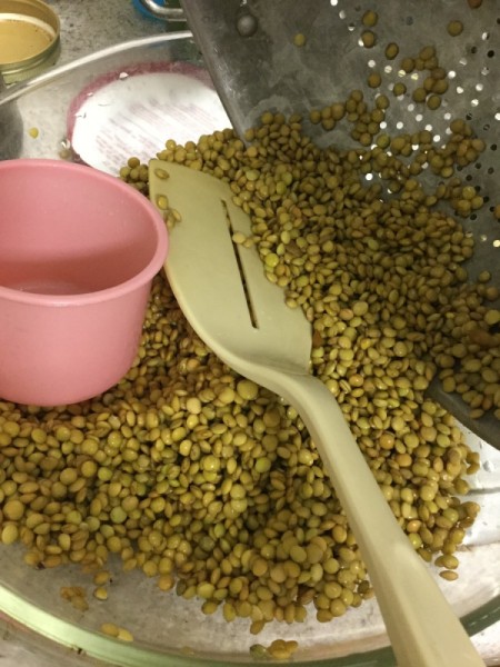 washing lentils
