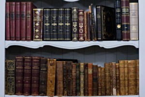 Bookshelf full of books