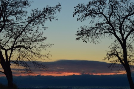 A colorful sunset over Lake Michigan, framed by two trees.