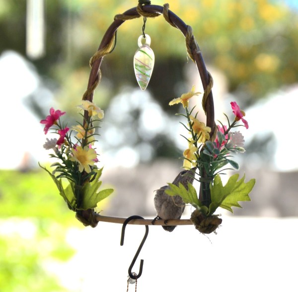A brand new baby hummingbird on a perch.
