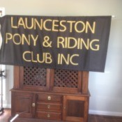 Repairing an Old Cotton Banner