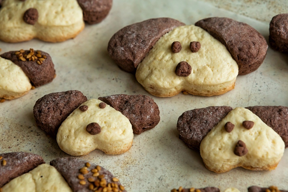 Dog Bakery Business Name Ideas ThriftyFun