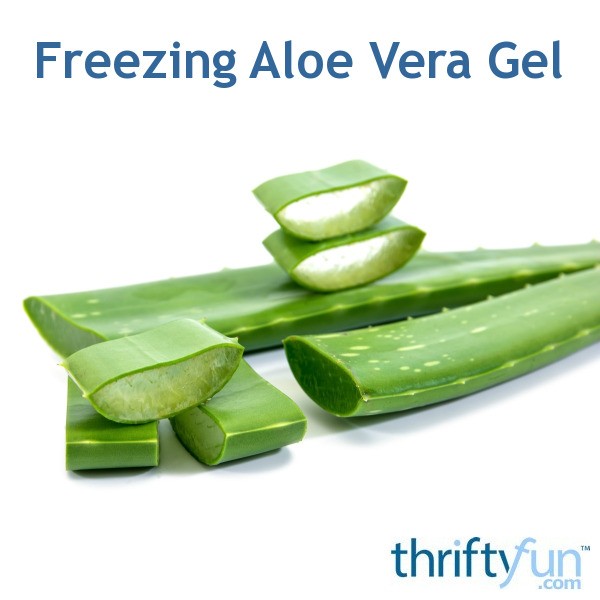 Freezing Aloe Vera Gel ThriftyFun