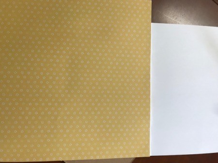 Silhouette Bunny Card - cover the strips with another piece of scrapbook paper