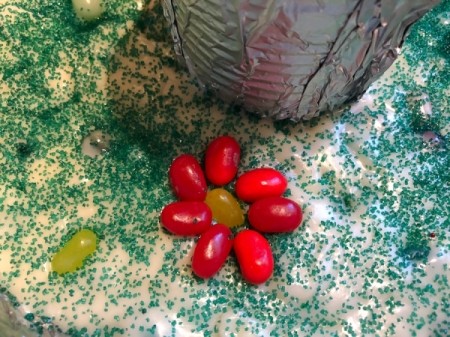 making flowers with jelly beans on fudge