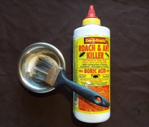 A bottle of Roach and Ant Killer containing boric acid, next to a paint brush dipped in boric acid powder.