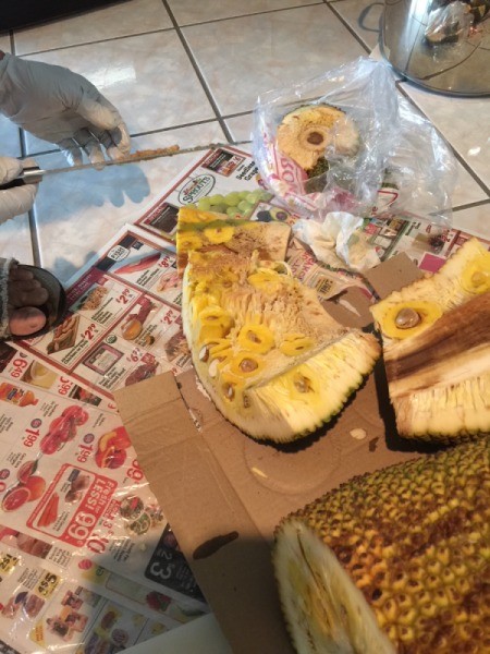 A jackfrult being cut up to be eaten.