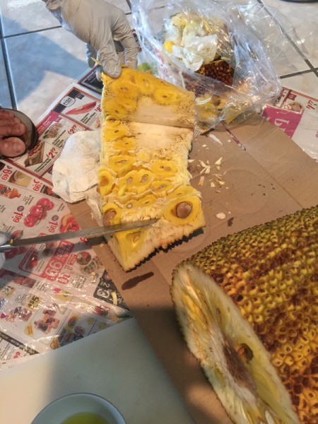 A jackfrult being cut up to be eaten.