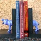Making Plastic Animal Bookends - holding up books on a shelf